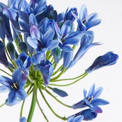 Kwiat sztuczny dekoracyjny AGAPANT niebieski Eurofirany - 76 cm - niebieski 2