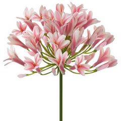 Kwiat sztuczny dekoracyjny AGAPANT różowy Eurofirany - 76 cm - jasnoróżowy 1