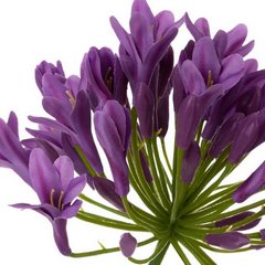 Kwiat sztuczny dekoracyjny AGAPANT fioletowy Eurofirany - 76 cm - fioletowy 2
