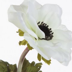 Kwiat sztuczny dekoracyjny ANEMON biały Eurofirany - 53 cm - biały 2