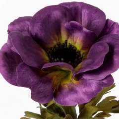 Kwiat sztuczny dekoracyjny ANEMON fioletowy Eurofirany - 53 cm - fioletowy 2