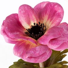 Kwiat sztuczny dekoracyjny ANEMON różowy Eurofirany - 53 cm - różowy 2
