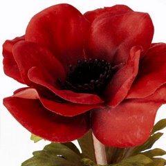 Kwiat sztuczny dekoracyjny ANEMON czerwony Eurofirany - 53 cm - czerwony 2