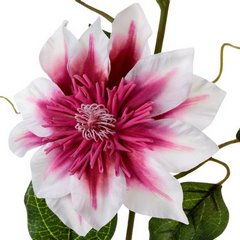 Kwiat sztuczny dekoracyjny POWOJNIK biało-amarantowy Eurofirany - 85 cm - biały 2