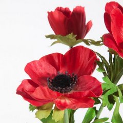 Sztuczny kwiat dekoracyjny ANEMON ZAWILEC czerwony Eurofirany - 56 cm - czerwony 2