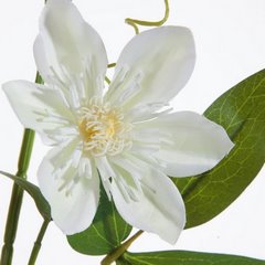 Sztuczny kwiat dekoracyjny POWOJNIK PNĄCZE amarantowy Eurofirany - 85 cm - kremowy 2
