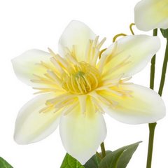 Sztuczny kwiat dekoracyjny POWOJNIK PNĄCZE amarantowy Eurofirany - 85 cm - żółty 2