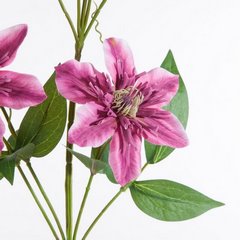 Sztuczny kwiat dekoracyjny POWOJNIK PNĄCZE amarantowy Eurofirany - 85 cm - amarantowy 2