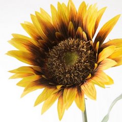 Kwiat sztuczny dekoracyjny SŁONECZNIK żółto-brązowy Eurofirany - ∅ 12 x 74 cm - żółty 2