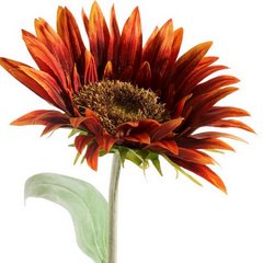 Kwiat sztuczny dekoracyjny SŁONECZNIK brązowo-pomarańczowy Eurofirany - ∅ 12 x 74 cm - brązowy 2