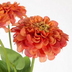 Kwiat sztuczny dekoracyjny CYNIA WYTWORNA pomarańczowa Eurofirany - ∅ 11 x 52 cm - pomarańczowy 2