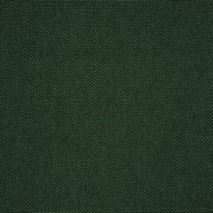 Zasłona Dora z tkaniny o welurowej strukturze Eurofirany - 360 x 240 cm - ciemnozielony 3